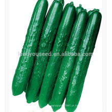 Cu11 Greenstar f1 híbrido qualidade vegetal sementes de pepino sementes para o plantio